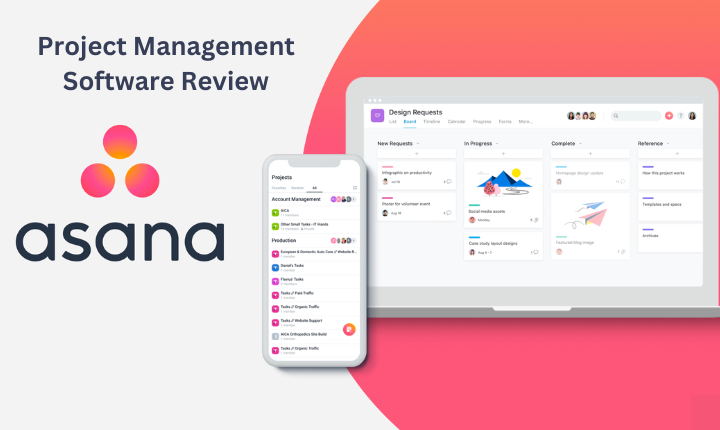 Asana Project Management Software