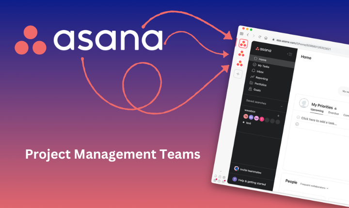 Asana for Project Management Teams