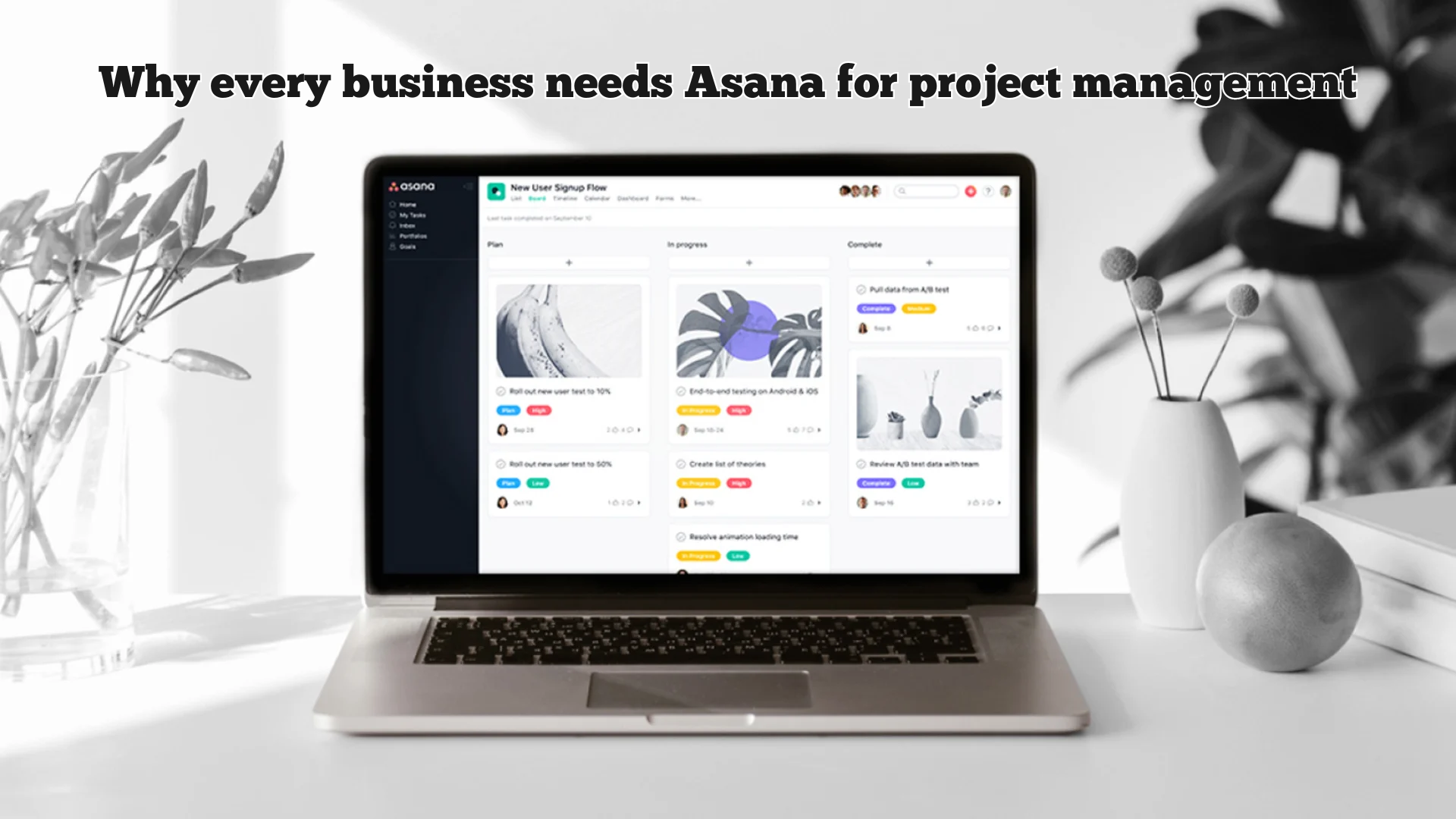 Asana for project management